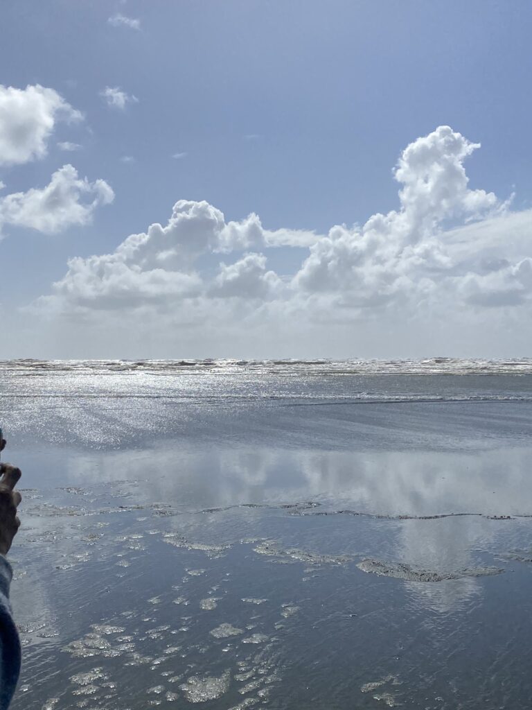 Ocean shores