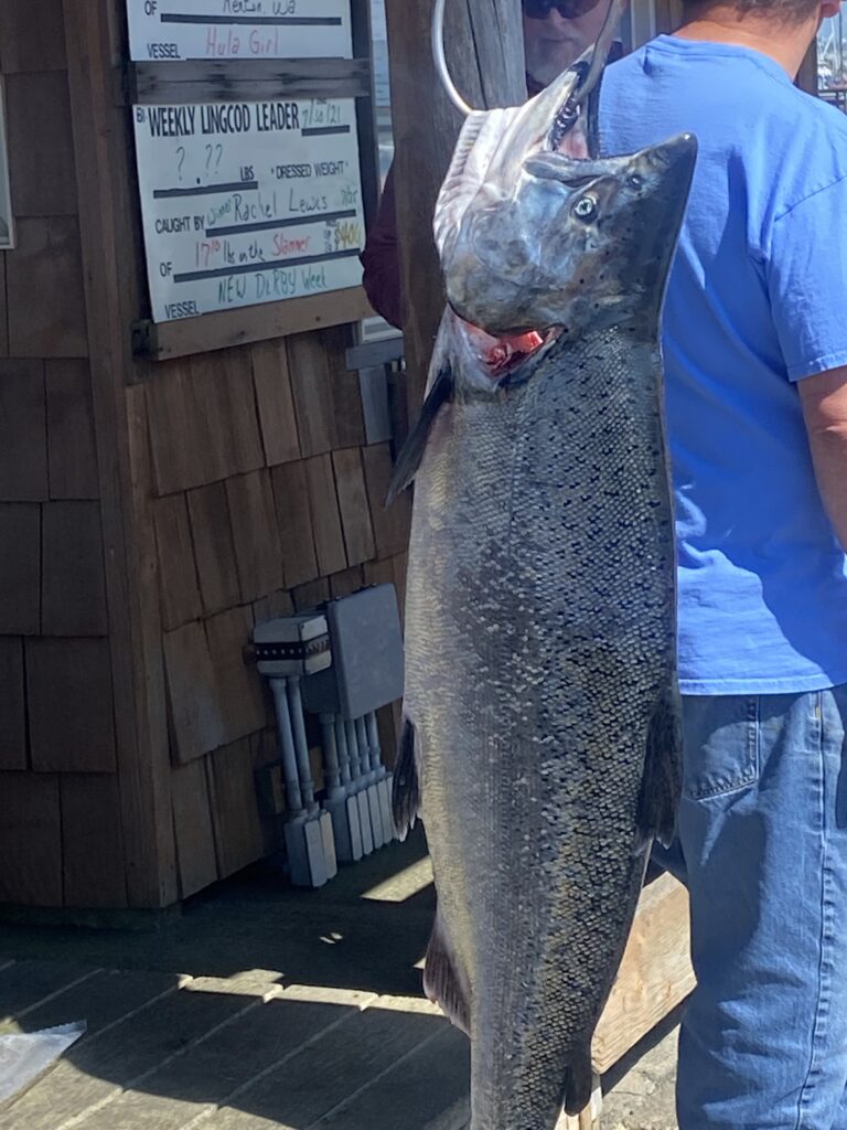 Fish At Westport Washington